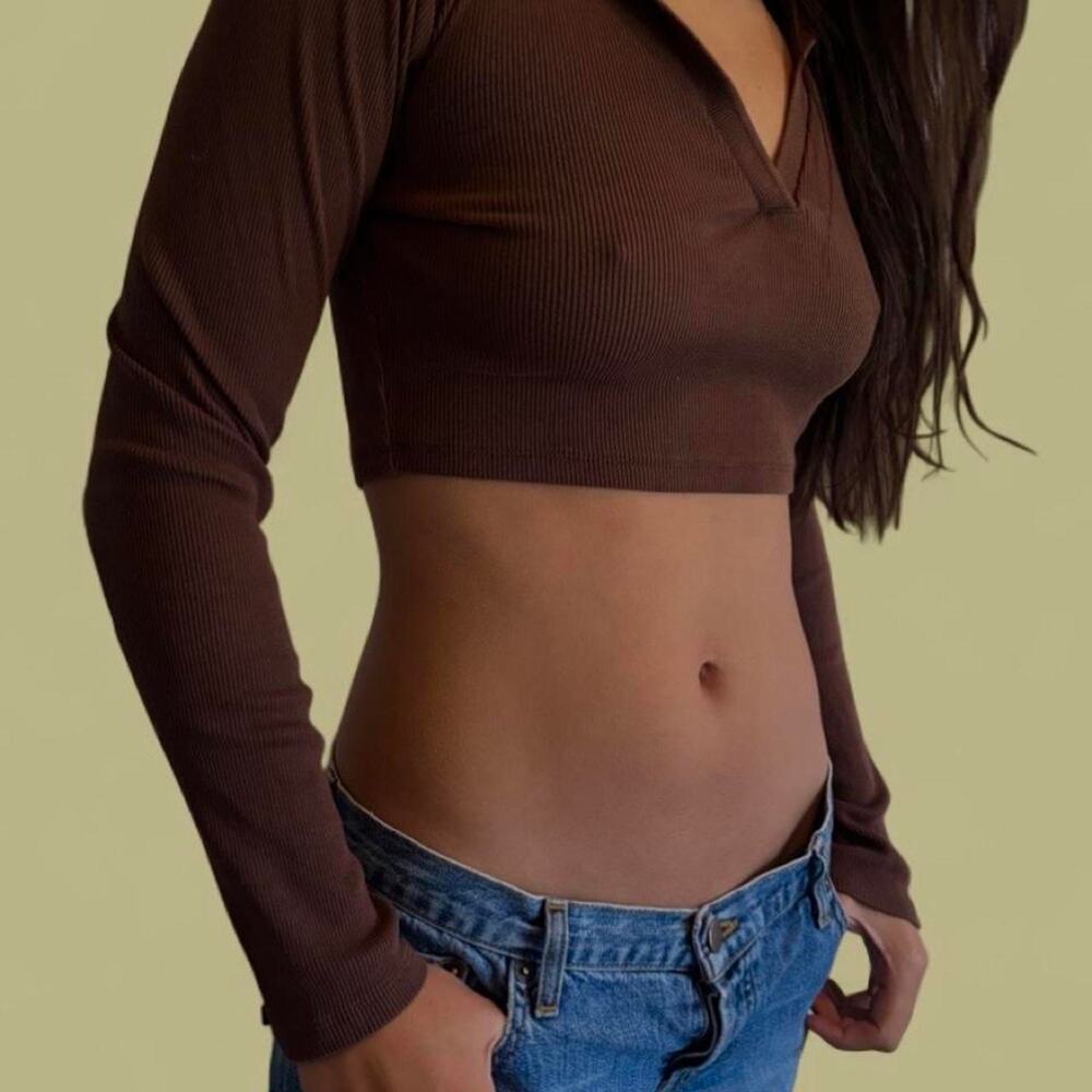 Zara brown long sleeve crop top